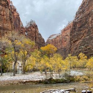 Meet your Posher, Alison